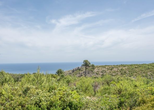 Grondstuk te koop op Cabo de Sant Antonio