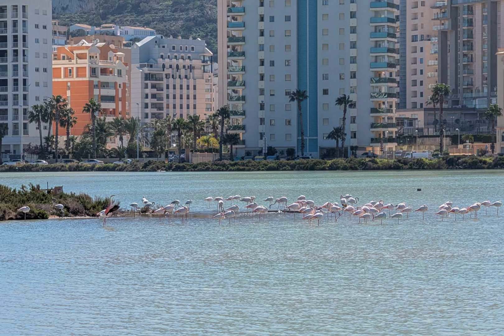 8329CAL Moderne villa, nog af te werken, te koop in Calpe.